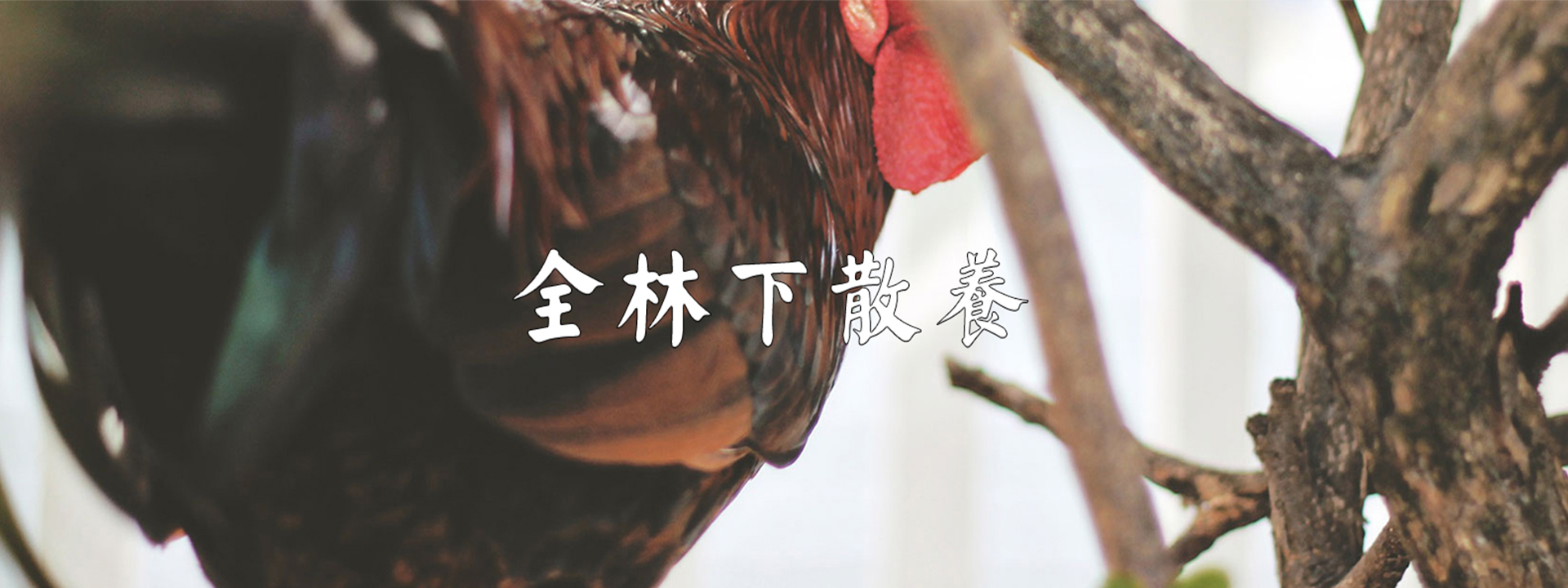 重慶妖精视频直播APP下载平台農產品配送有限公司
